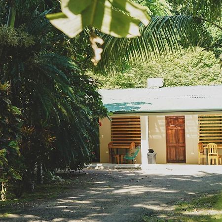 Hostel 7, Casa De Gingi Playa Santa Teresa  Экстерьер фото